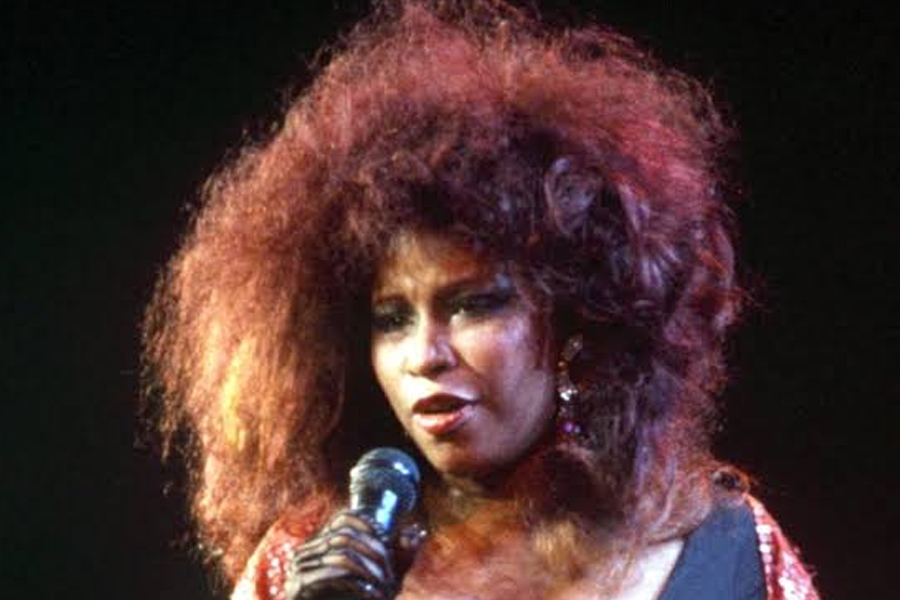 Chaka Kahn: The Powerful Voice, Family Story, and Enduring Legacy 2 chaka kah